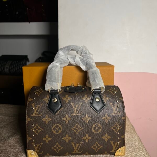 LV Square bag