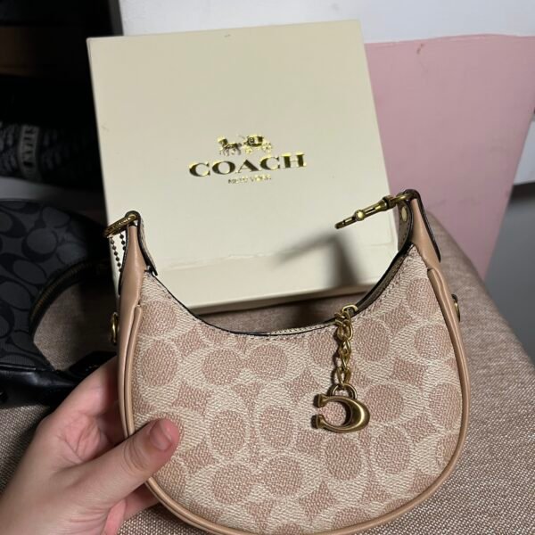 Mini coach  Half circle