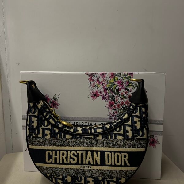 Dior Half Circle Bag