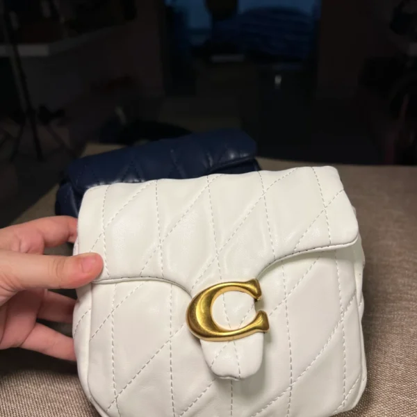 Mini coach bag