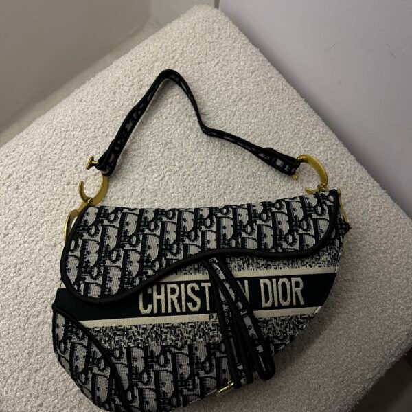 Printed Dior Saddle