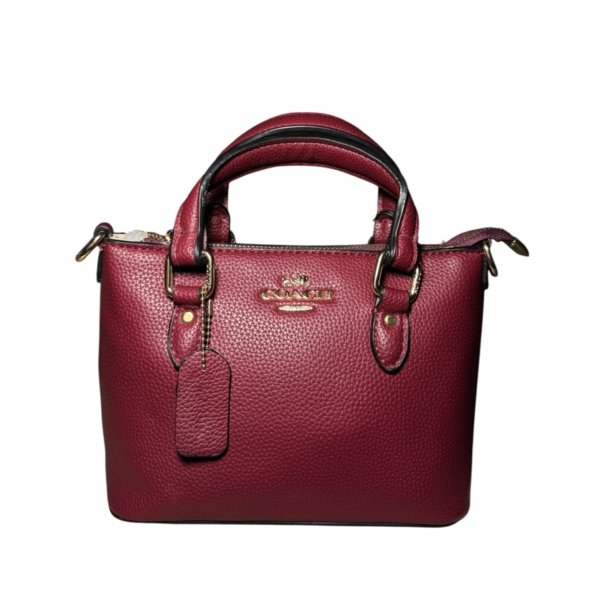Coach Daily Bag