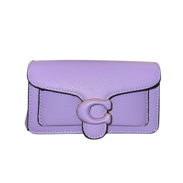 Colorful coach bag